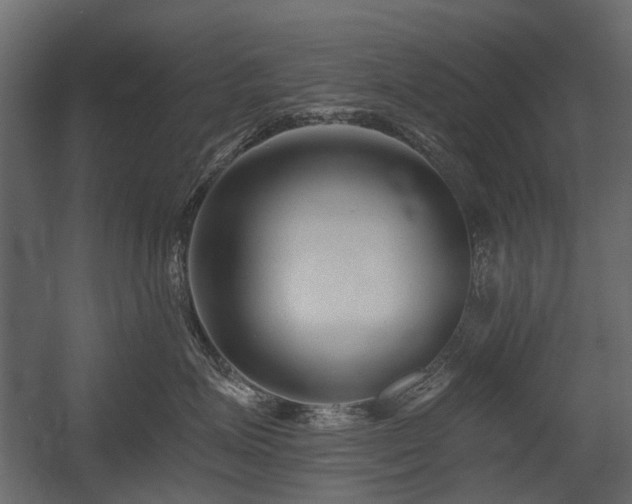 X0000054380623200507291119
