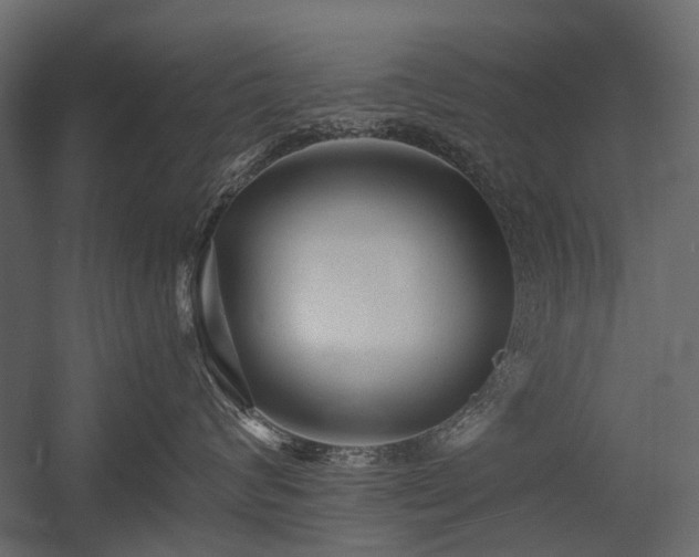 X0000054380624200507291119