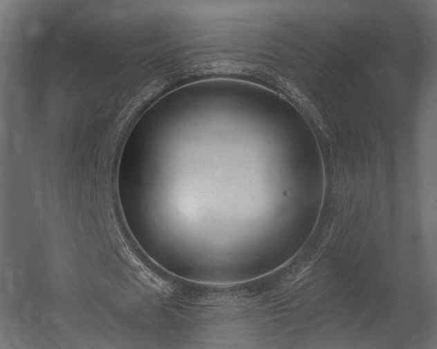 X0000054380625200507291118