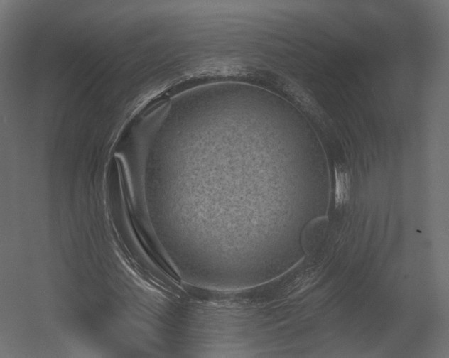 X0000054380627200507291118