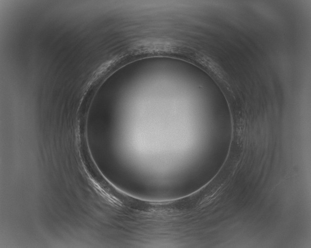 X0000054380629200507291118