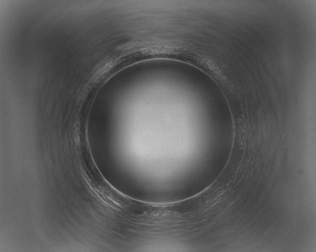 X0000054380631200507291118