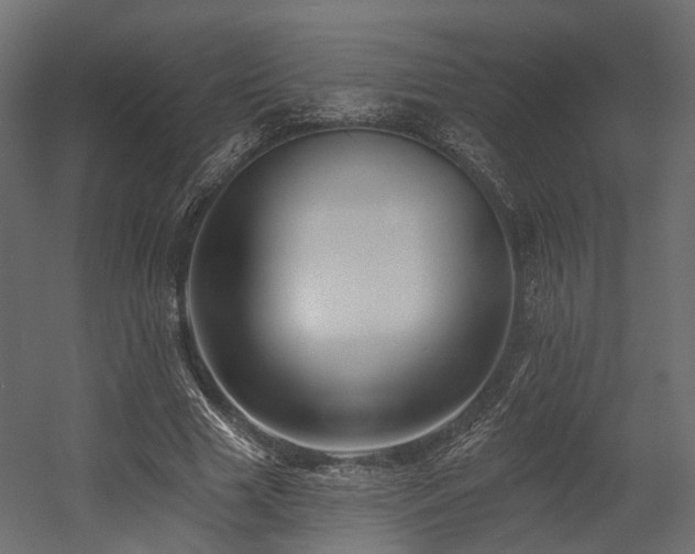 X0000054380633200507291118