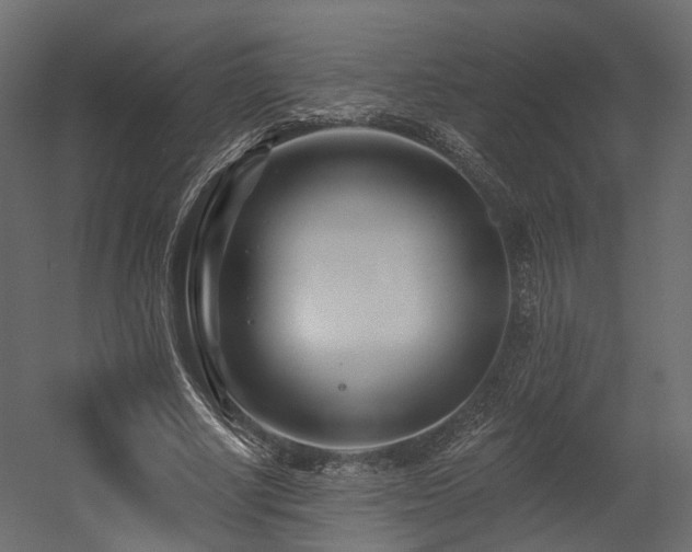 X0000054380634200507291118