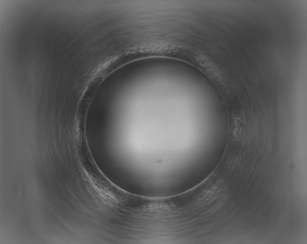 X0000054380636200507291118