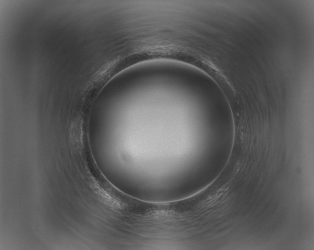 X0000054380637200507291118