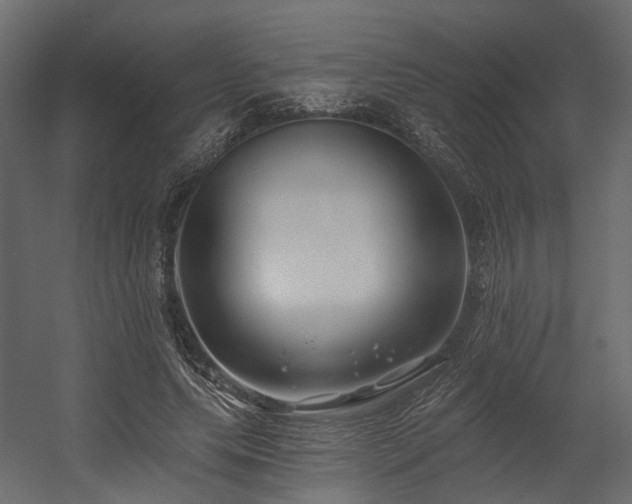 X0000054380639200507291118
