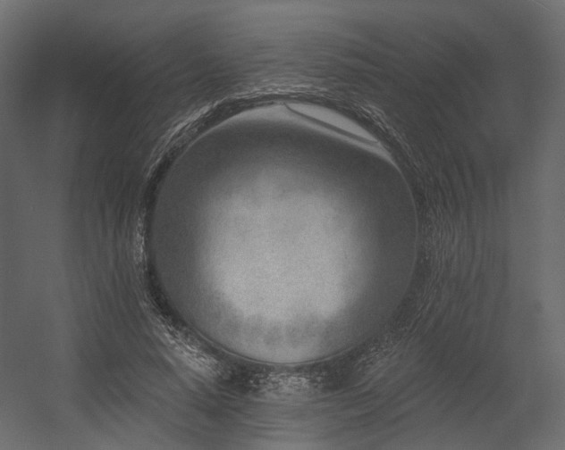 X0000054380640200507291118