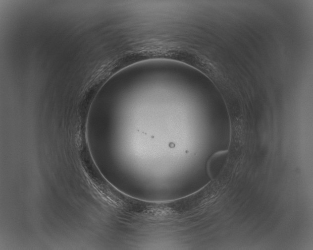 X0000054380642200507291118