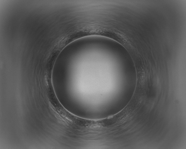 X0000054380643200507291118