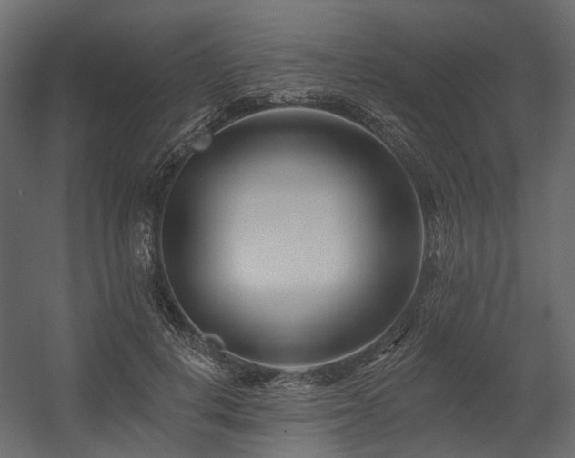 X0000054380648200507291118