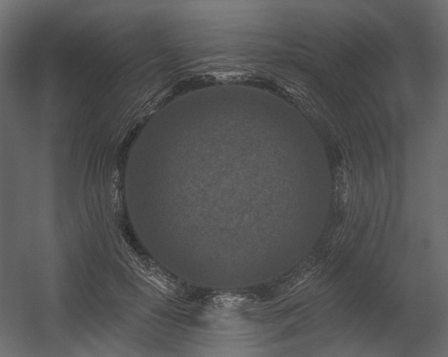 X0000054380650200507291118