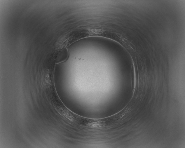X0000054380655200507291119