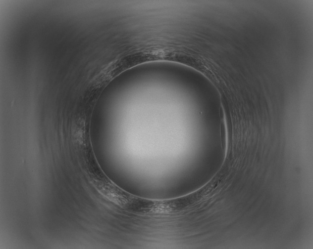 X0000054380656200507291119