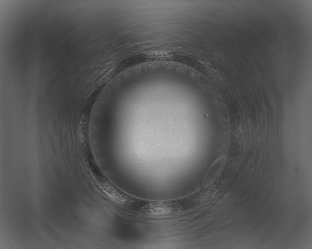 X0000054380658200507291119