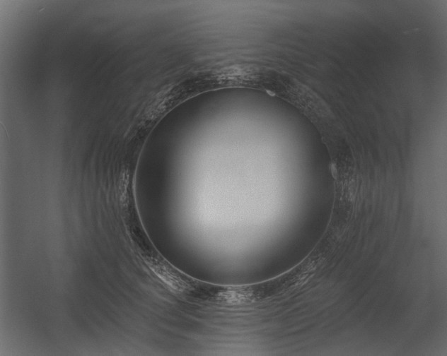 X0000054380660200507291119