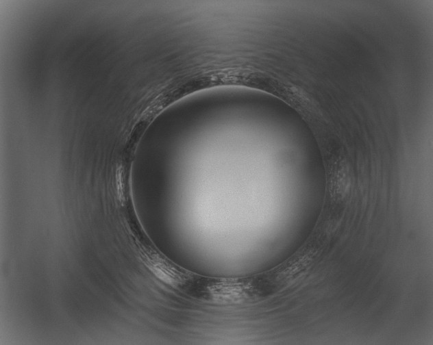 X0000054380661200507291119