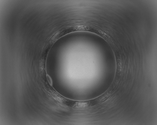 X0000054380665200507291119