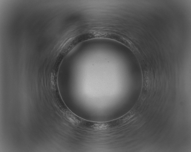 X0000054380667200507291119