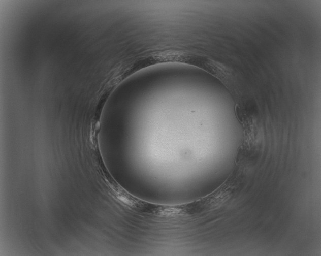 X0000054380669200507291119