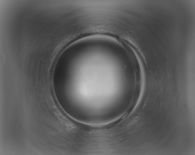 X0000054380673200507291118
