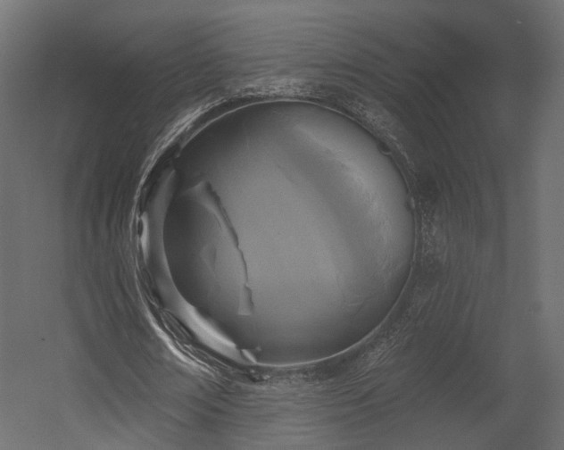 X0000054380674200507291118