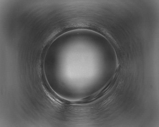 X0000054380677200507291118
