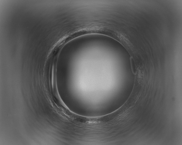 X0000054380684200507291118