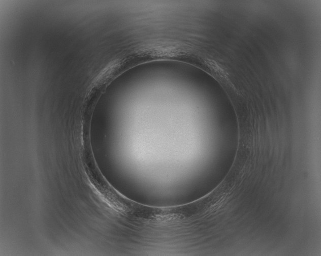 X0000054380686200507291118