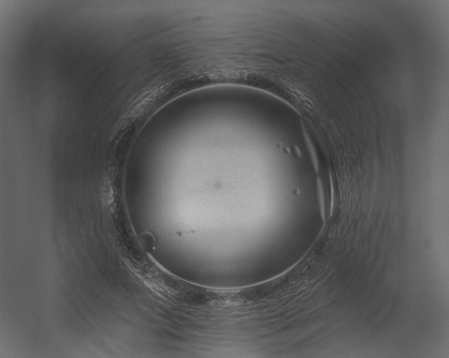X0000054380687200507291118
