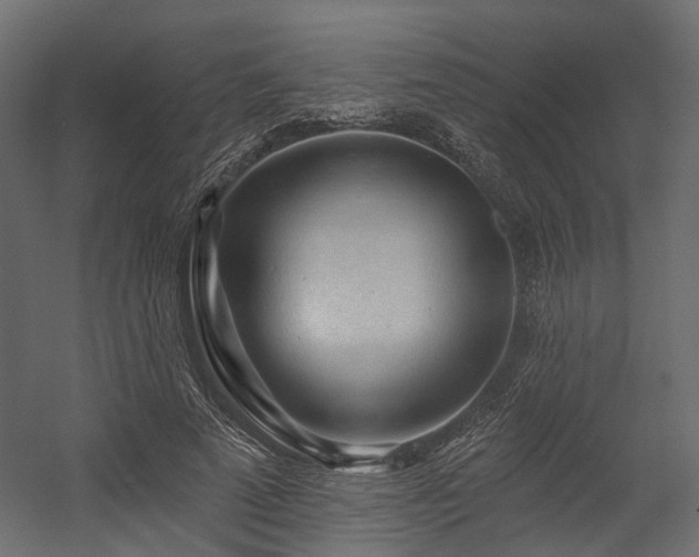 X0000054380689200507291118