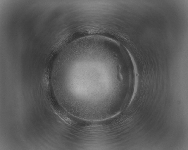 X0000054380691200507291118