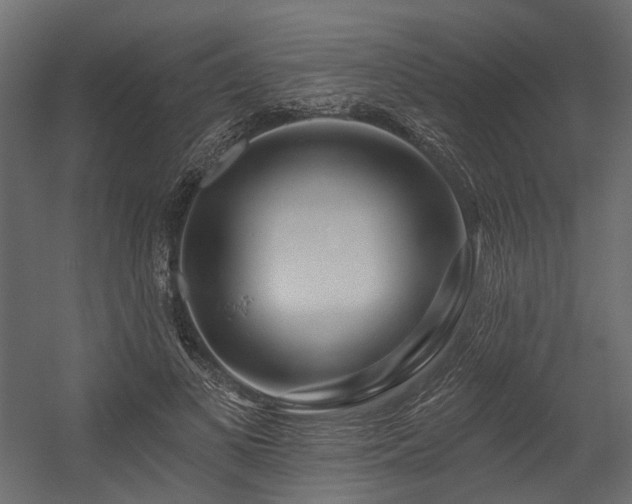 X0000054380693200507291118