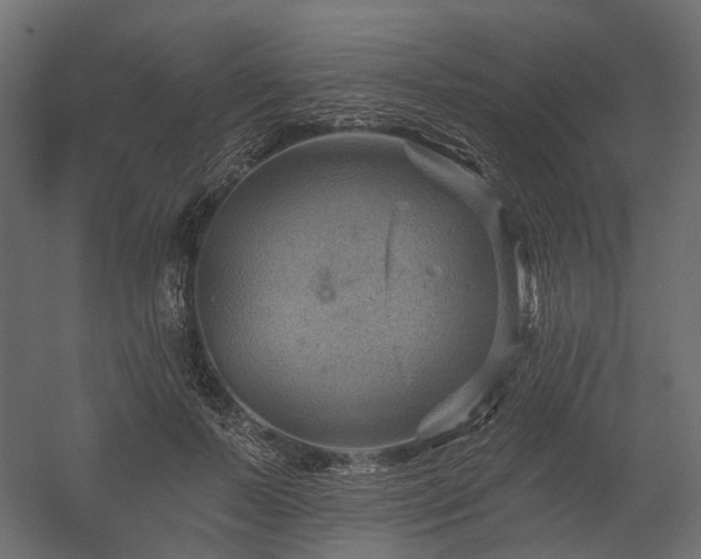 X0000054380695200507291118