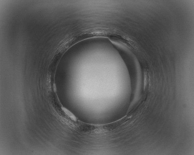 X0000054380696200507291118