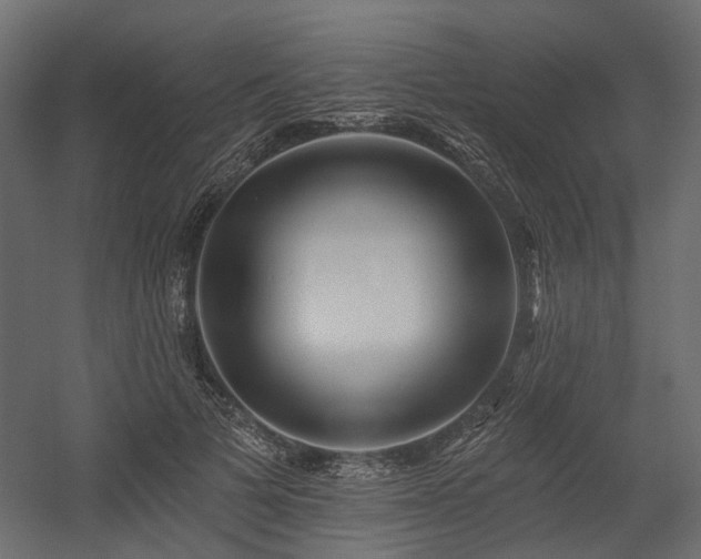 X0000054380697200507291118