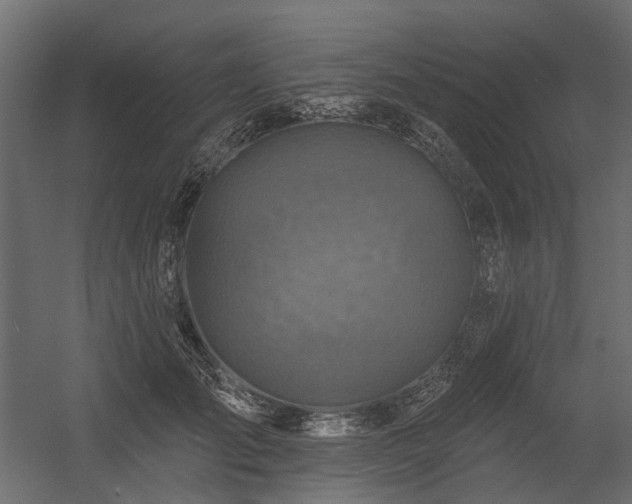 X0000054380701200507291118