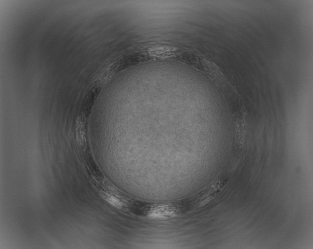X0000054380705200507291117