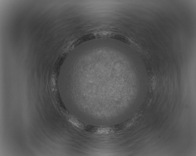 X0000054380709200507291117