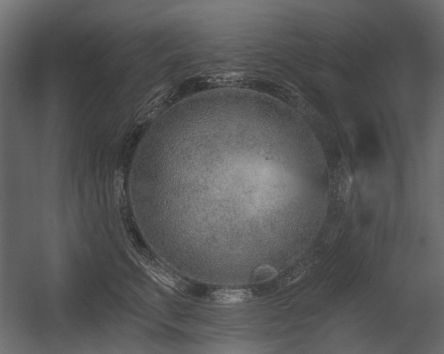 X0000054380711200507291117