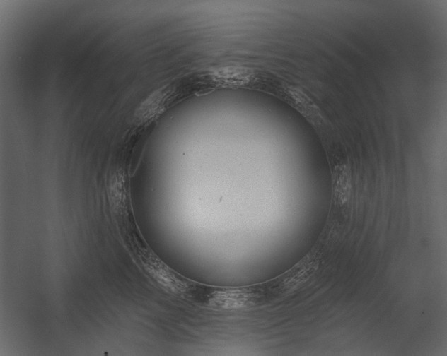 X0000054380713200507291117