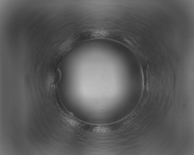 X0000054380714200507291117
