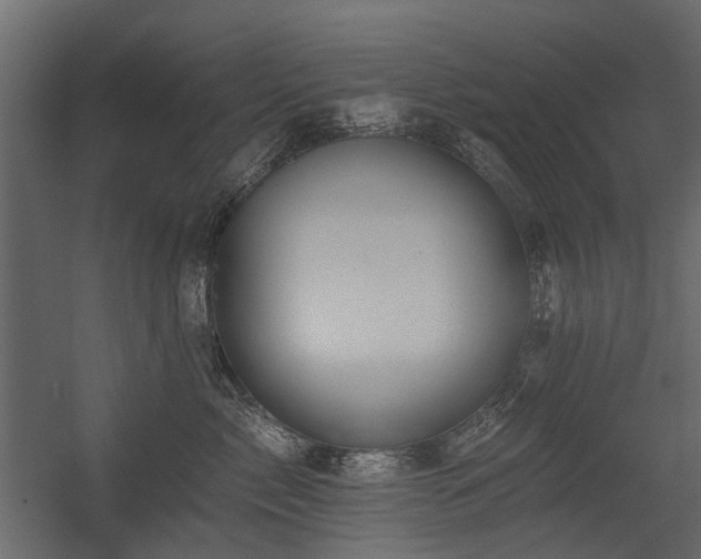 X0000054380717200507291117