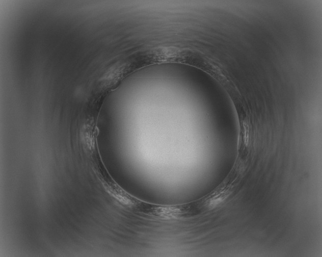 X0000054380719200507291117