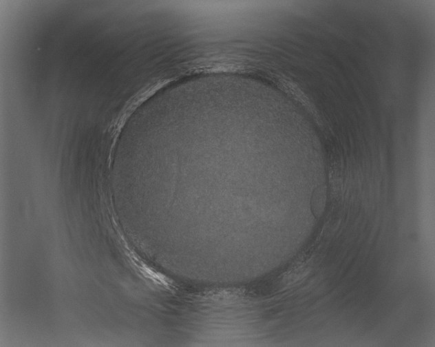 X0000054380721200507291116