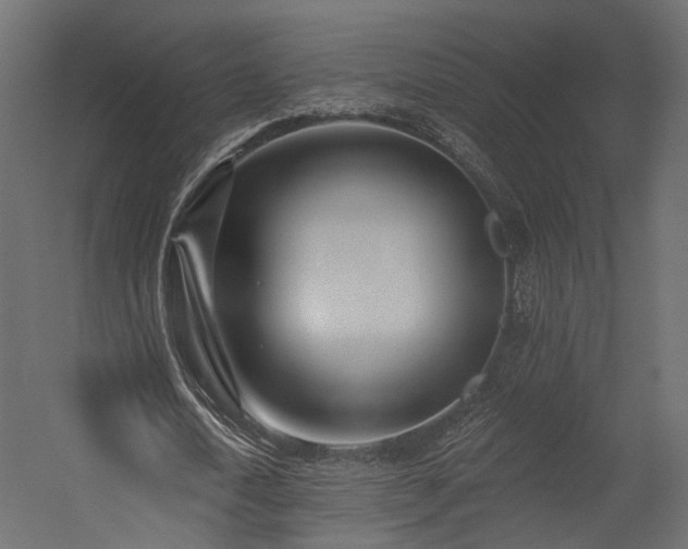 X0000054380722200507291116