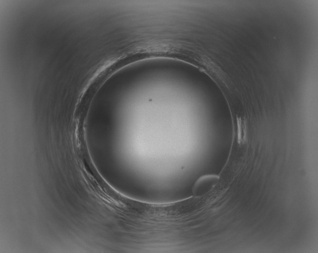 X0000054380723200507291116