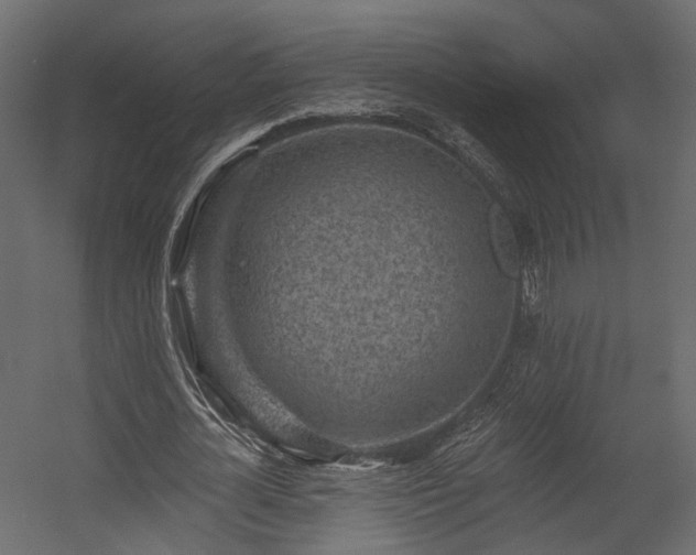 X0000054380724200507291116