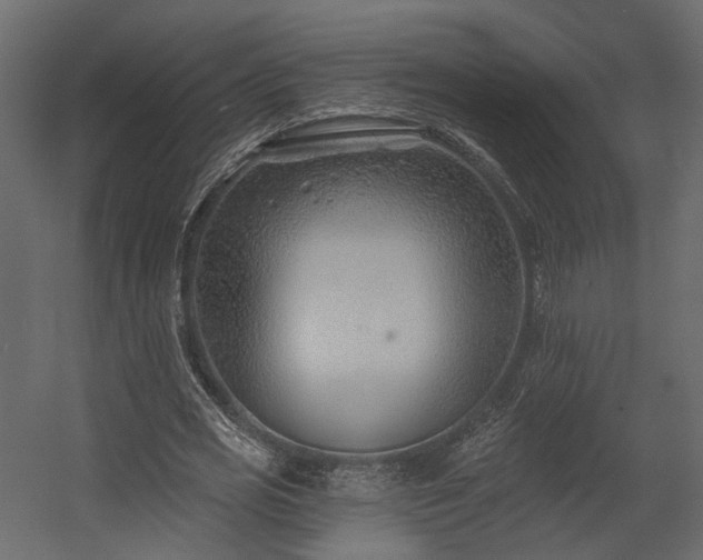 X0000054380725200507291116