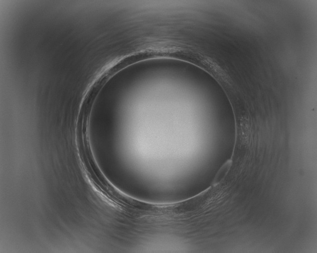 X0000054380726200507291116